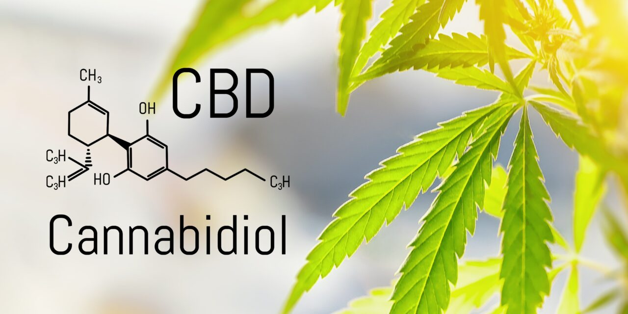 Das wichtigste über CBD