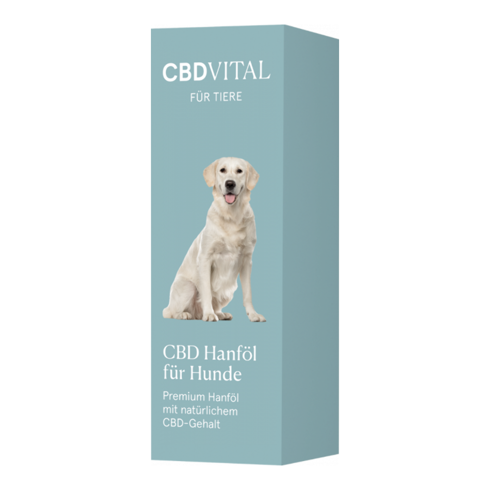 CBD-Öl für Hunde