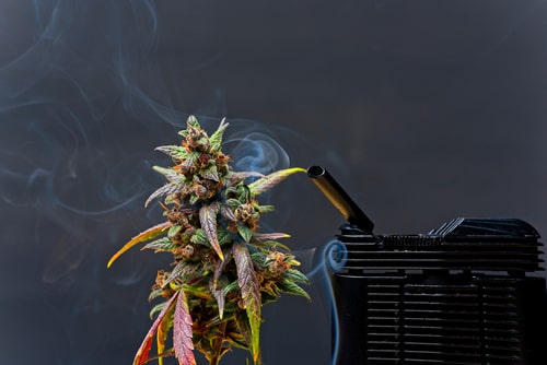 Cannabis-CBD-Vaporizer