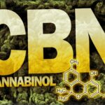 CBN Cannabis: Der nächste Level der Entspannung