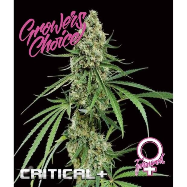 Growers Choice Critical+