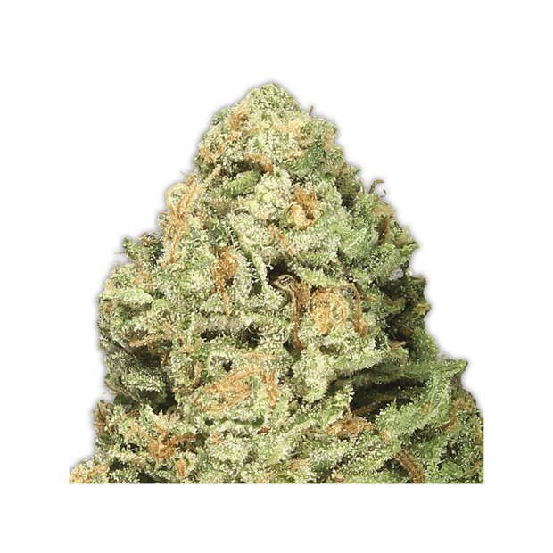 Heavyweight Seeds Fruit Punch