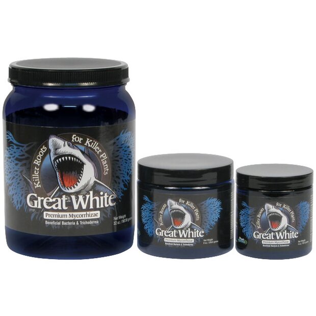 Great White - Mykorrhiza