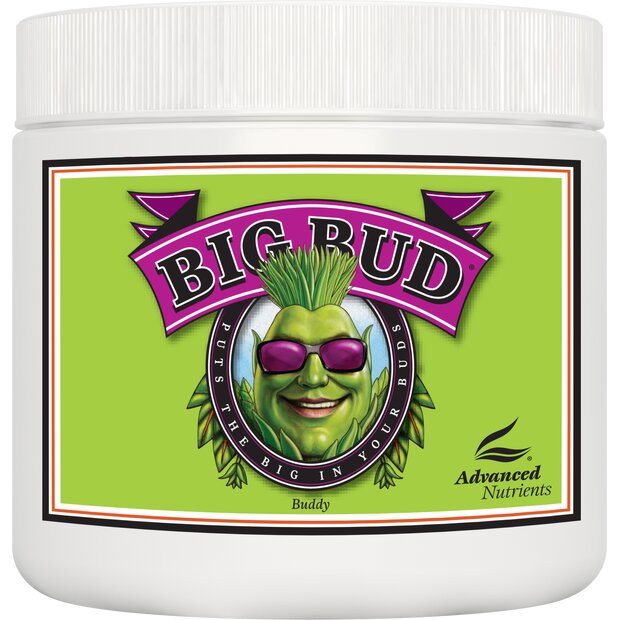 AN Big Bud Powder 500g