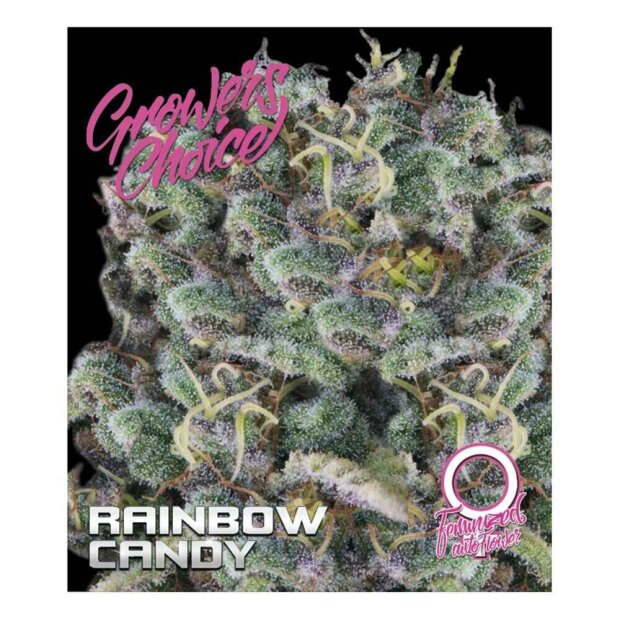 Growers Choice Auto Rainbow Candy 3 Stück feminisiert