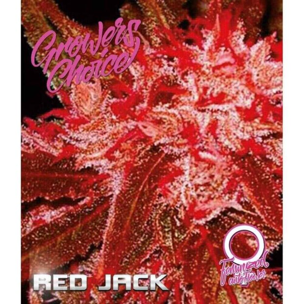 Growers Choice Auto Red Jack 3 Stück feminisiert