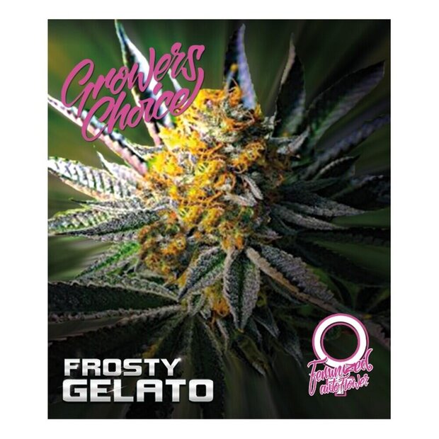 Growers Choice Auto Frosty Gelato 5 Stck