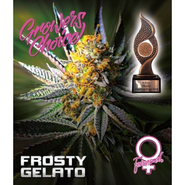 Growers Choice Frosty Gelato 3 Stück feminisiert