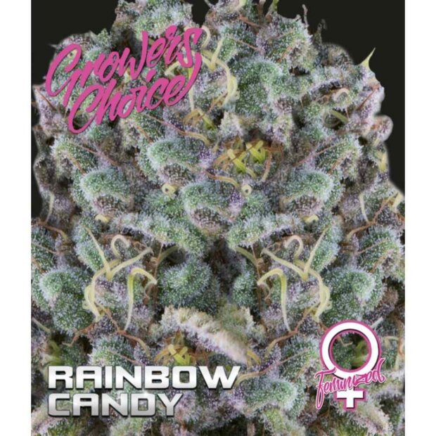 Growers Choice Rainbow Candy 3 Stück feminisiert