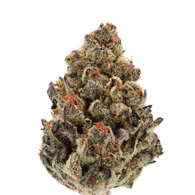 Growers Choice Bruce Banner #3 5 Stck