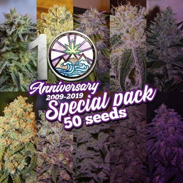 Delicious Seeds 10th Anniversary Pack Hanfsamen feminisiert