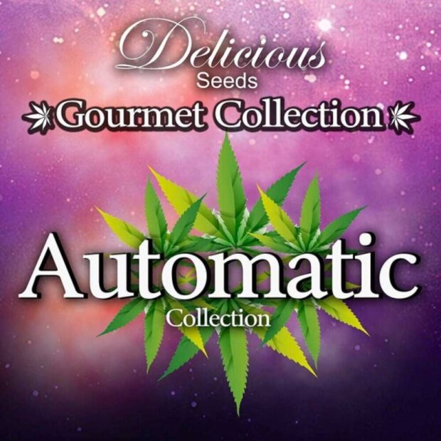 Delicious Seeds Auto Gourmet Collection #2 Hanfsamen 9 Stück feminisiert