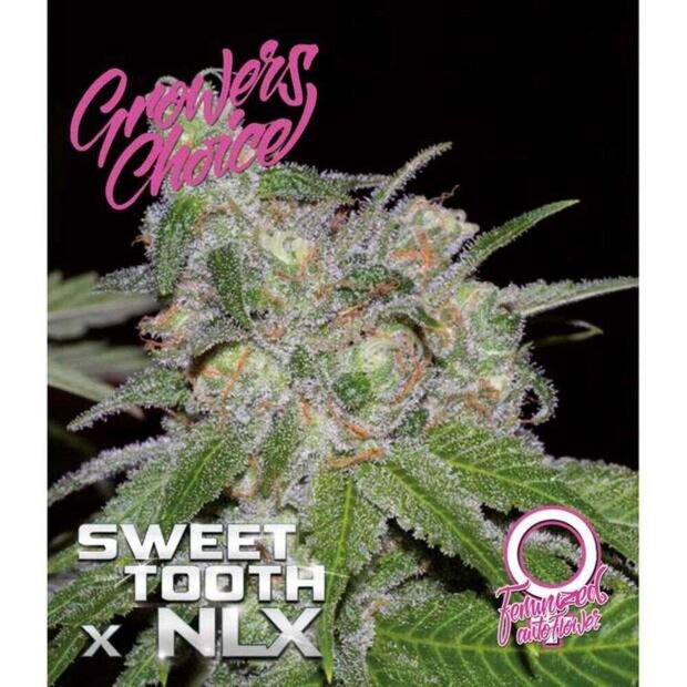 Growers Choice Auto Sweet Tooth x NLX 5 Stck